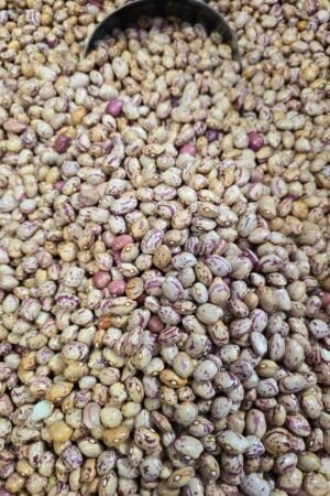 Round Kidney Beans - 1 KG - فاصوليا عائشة خانم