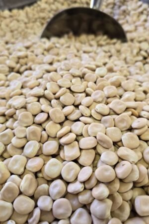 Bitter Lupins - 1 KG - ترمس مرّ