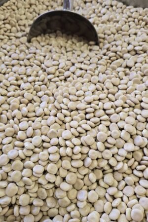Sweet Lupins - 1 KG - ترمس حلو