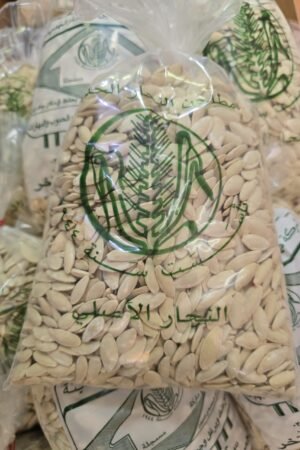 Roasted Cantaloupe Seeds (Salted) - 500 grams - بذر شمّام محمّص مالح