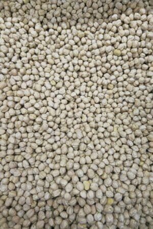Chickpeas (Large) - حمّص كبير
