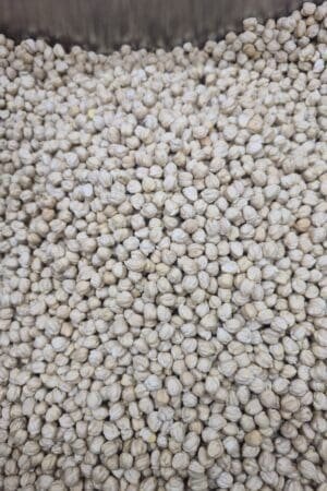 Chickpeas (Extra Large) - 1 KG - حمّص فحلي