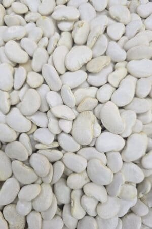 Lebanese Lima Beans - 1 KG - عريضة بيضا بلديّة