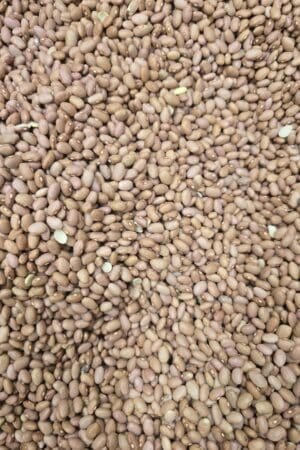 Pink Feijao Beans - 1 KG - فاجوم زهر